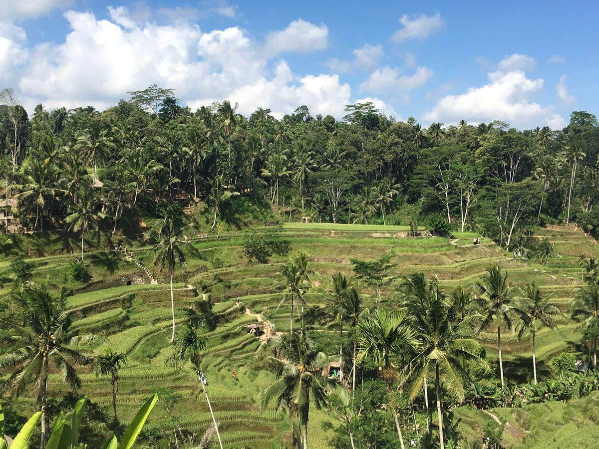 Villa Maha Ubud Dış mekan fotoğraf